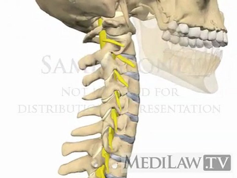 Cervical Spine Movement Rotation Extension rheumatology multimedia