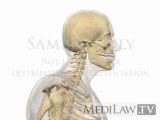 Cervical Spine Movement Poke Neck physiotherapy illustrations