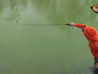 Scarabait Delalande Pêche