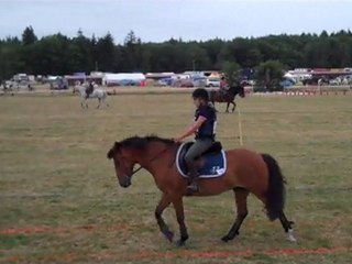 Maîtrise des allures - Lamotte 2011