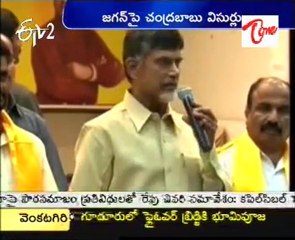 Chandrababu made verbal attack on ys jagan