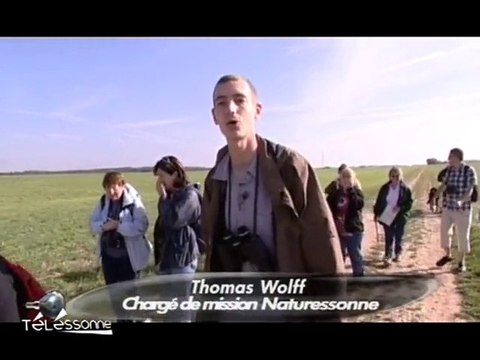 Le parc du Gâtinais (Essonne)