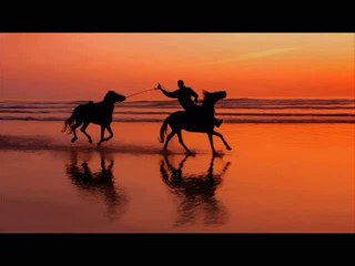 Fatih ŞİMŞEK - Sakarya Türküsü