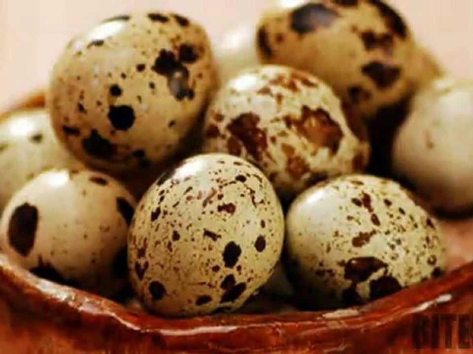 Egg Storing