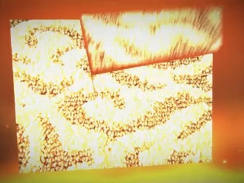 Rug Cleaning Kendall FL