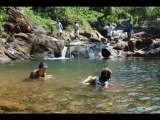Travel To Care A Taste of Kerala Package Holidays India