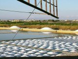 FOTO SALINE  DI MARSALA