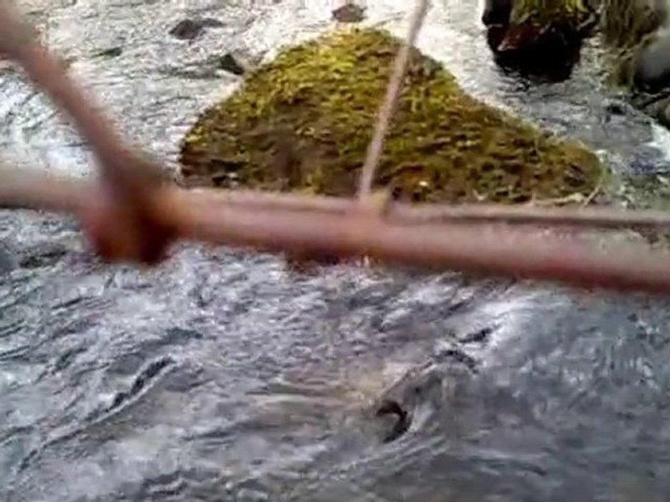 Red Snapper - I'm Gonna Kill My Carer / Exclusive