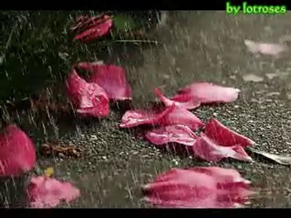 MaHuR NeY TaKsiMi