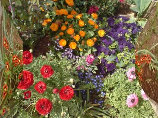 Mustafa Sağyaşar-Hep Ağlattı Beni Kaderim