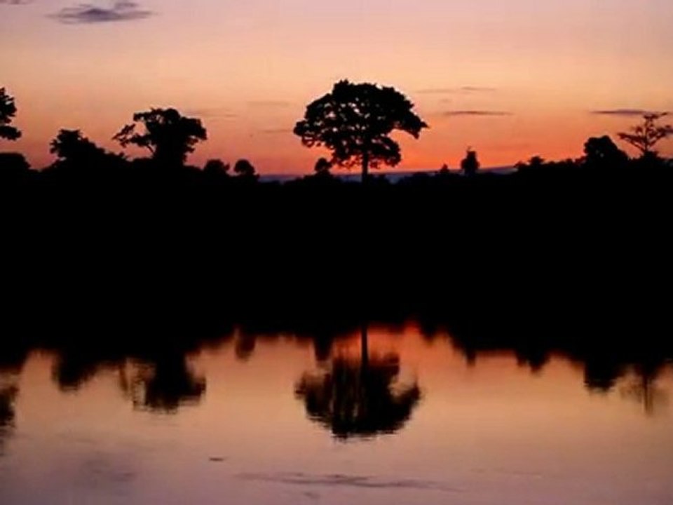 Awala-Yalimapo / Guyane