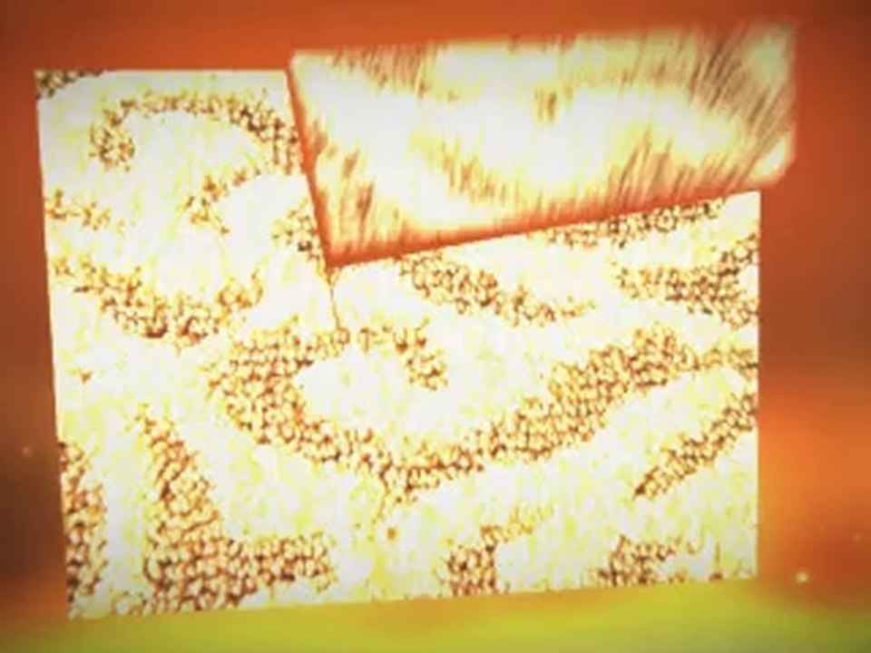 Rug  Cleaning Miramar FL