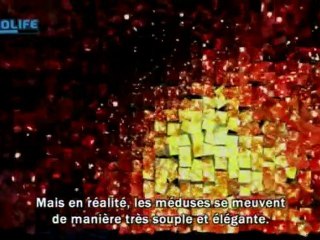 Nolife Corner : Reportage Child of Eden Tetsuya Mizuguchi