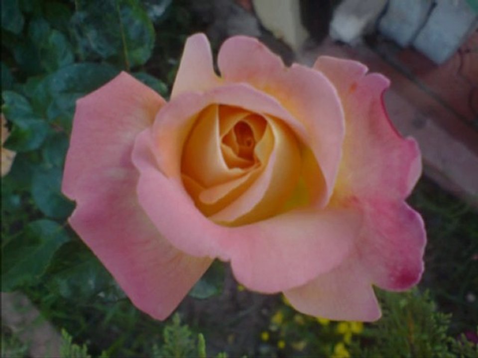 Zeki Müren-Dediler Zamanla Hep Azalırmış