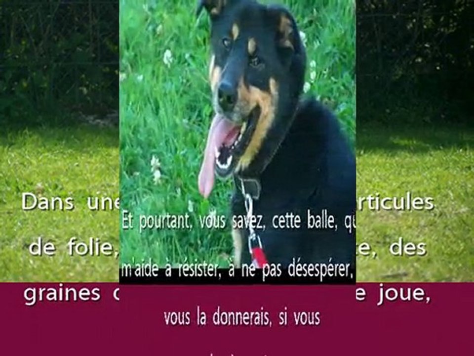 Aramis, attend un Foyer