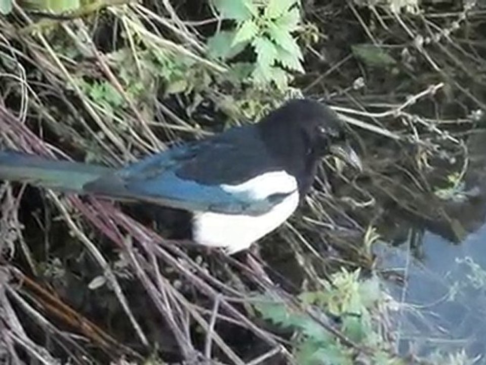 Un verre, ça va. 2 verres, bonjour les dégâts !