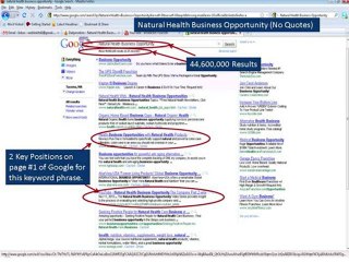 Natural Health Business Opportunity Marketing Strategy Bonus