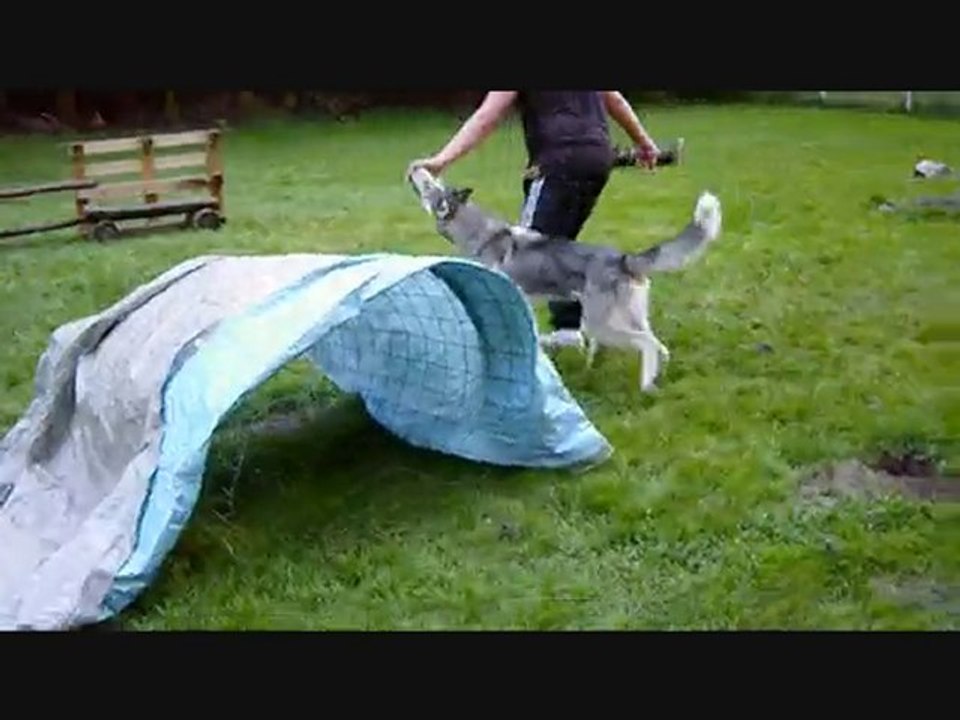 Agility - Otchum & Gao