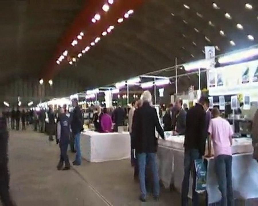 petit tour de ju-canaristedu62 à l'exposition de malines