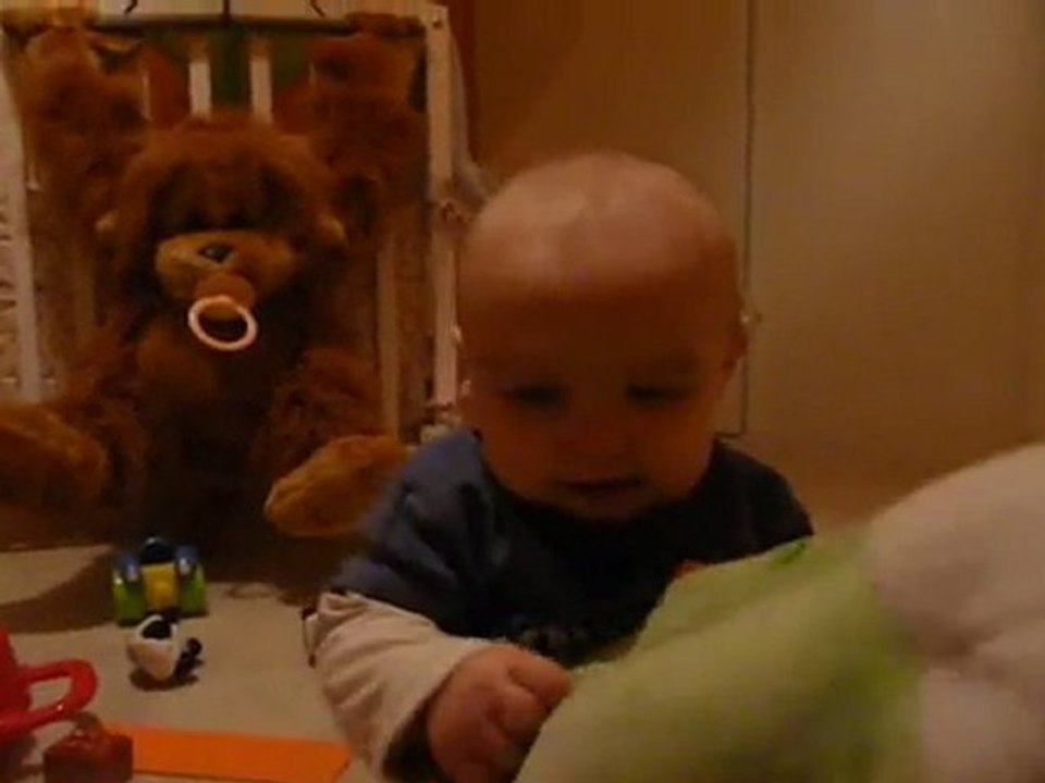 Les cris des animaux !