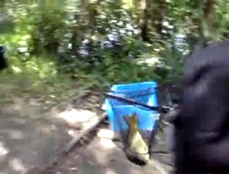 Carpe de Théo
