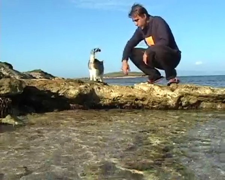 FIRMA PER SU PALLOSU PATRIMONIO DELL'UMANITA' (UNESCO)