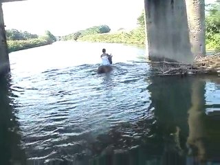 Eagle & Chanel dans l'eau