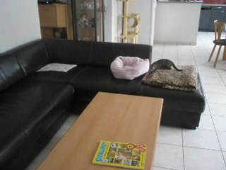 fire le 12.11.2010 022