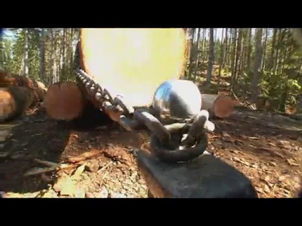 Ford F-150 EcoBoost Torture Test Episode 2: Hauling Timber