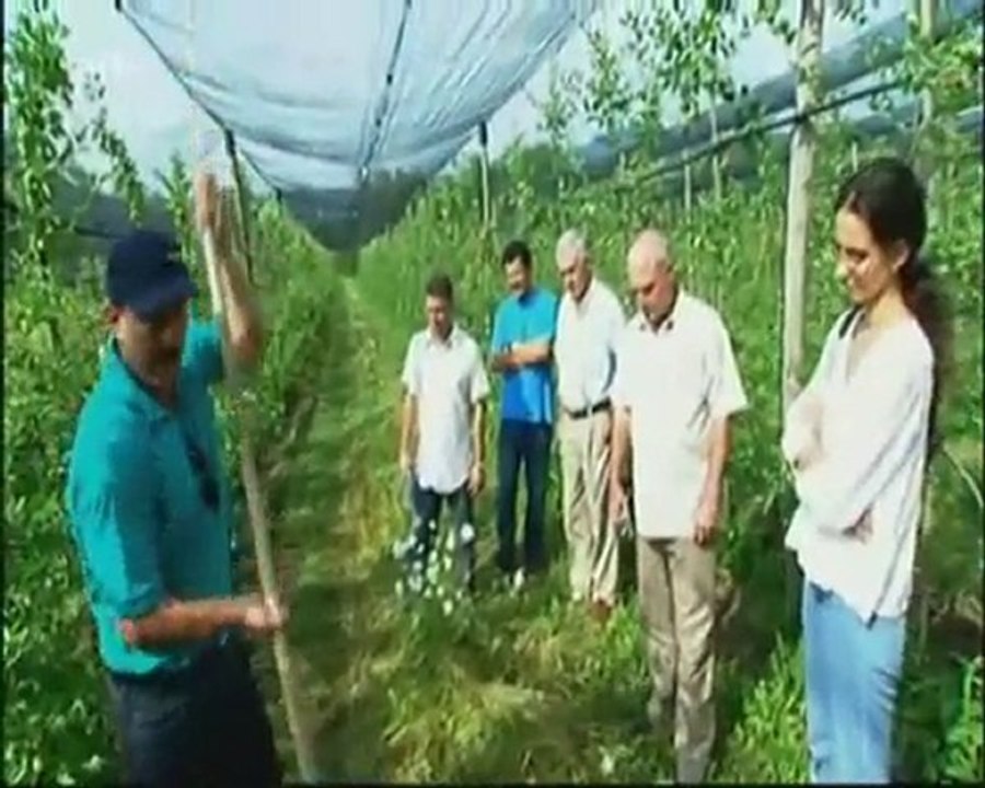 L'agriculture biologique peut nourrir la planète...