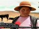 Intensa sequía en el altiplano de Bolivia