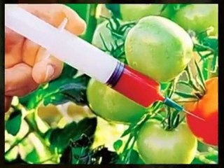 21 day body makeover a quality body cleanse