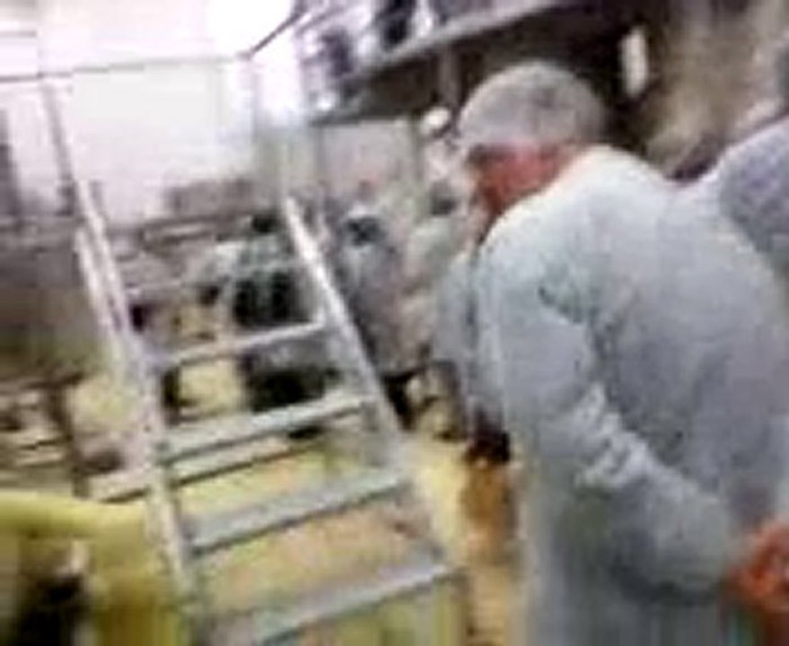 Farmasi Üye Kayıt Kocaeli / Farmasi Üye Kayıt Tekirdağ / Farmasi Üye Kayıt Edirne