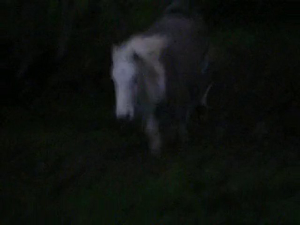 Noirault qui saute le fossé