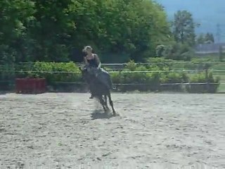 Pepita , PRE, élevage le plat