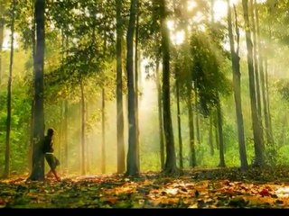 Sen Kimseyi Sevemezsin - ZEKI MUREN