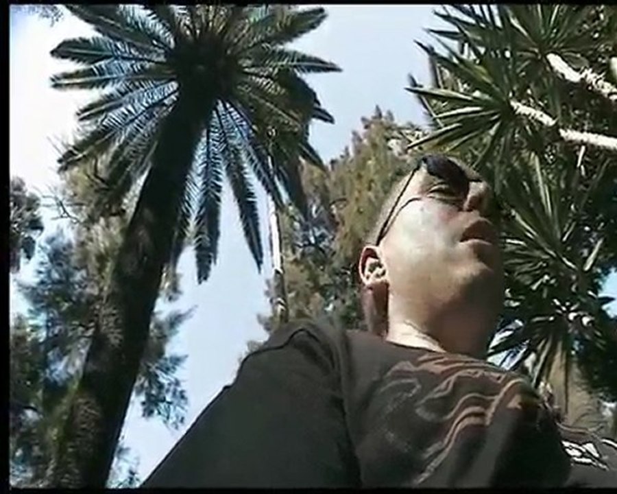 clip sevilla