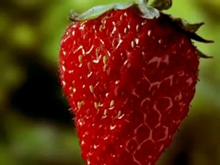 Saniye Saniye Çileğin Olgunlaşması