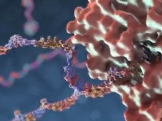 Flu Attack! How A Virus Invades Your Body