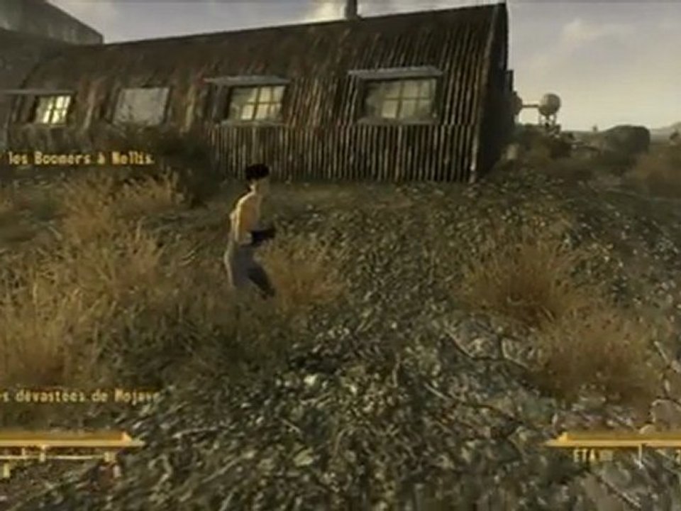 Bug Fallout New Vegas : Moonwalk faciale