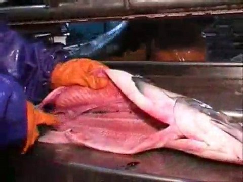 Народы Севера