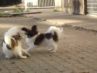 Tranche de vie à la Vallée des Secrets