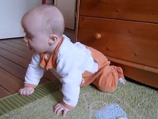 Zacharie quatre pattes