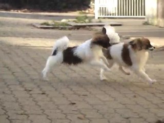 Tranche de vie à la Vallée des Secrets