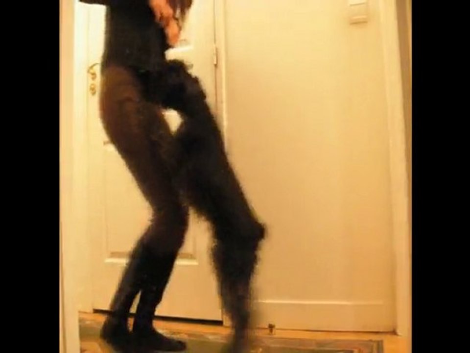 Indy - tricks novembre