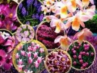 CEVDET  BAĞCAN  ANLASANA