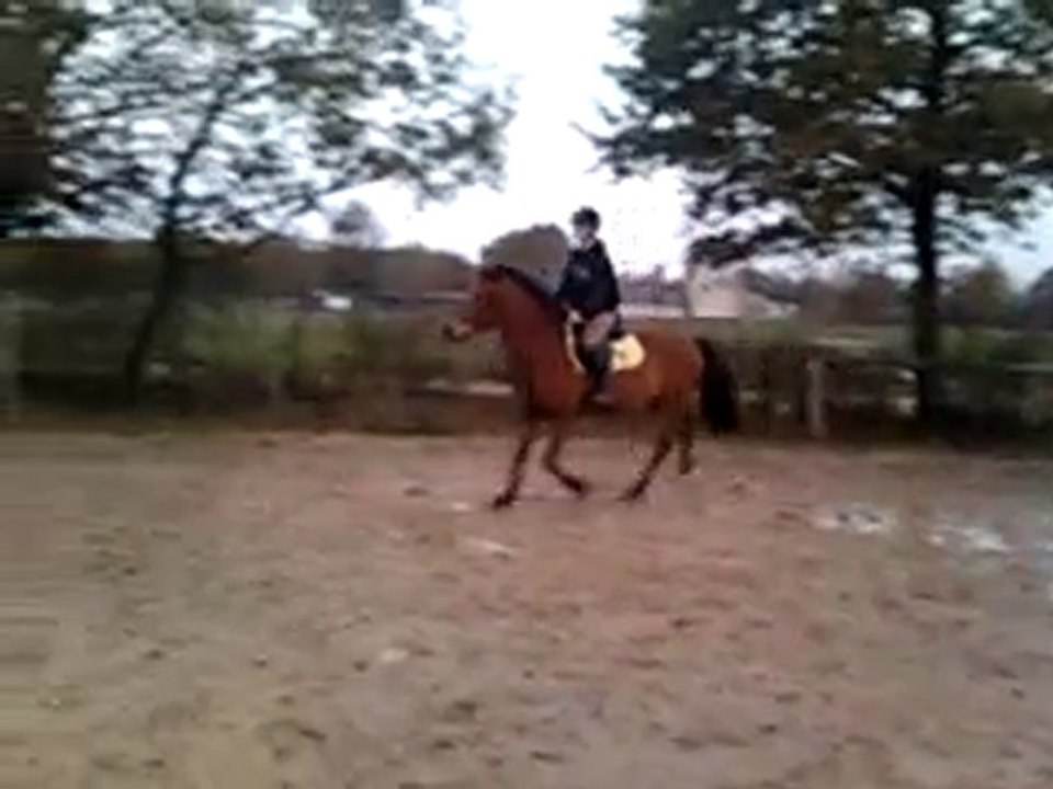 départs au galop