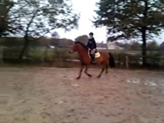 départs au galop
