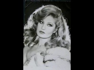 Emel Sayın - ELVEDA MEYHANECİ