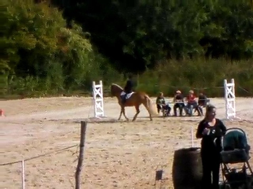 dressage Majic !